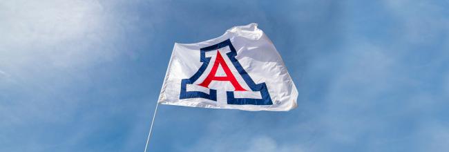 University of Arizona Flag 